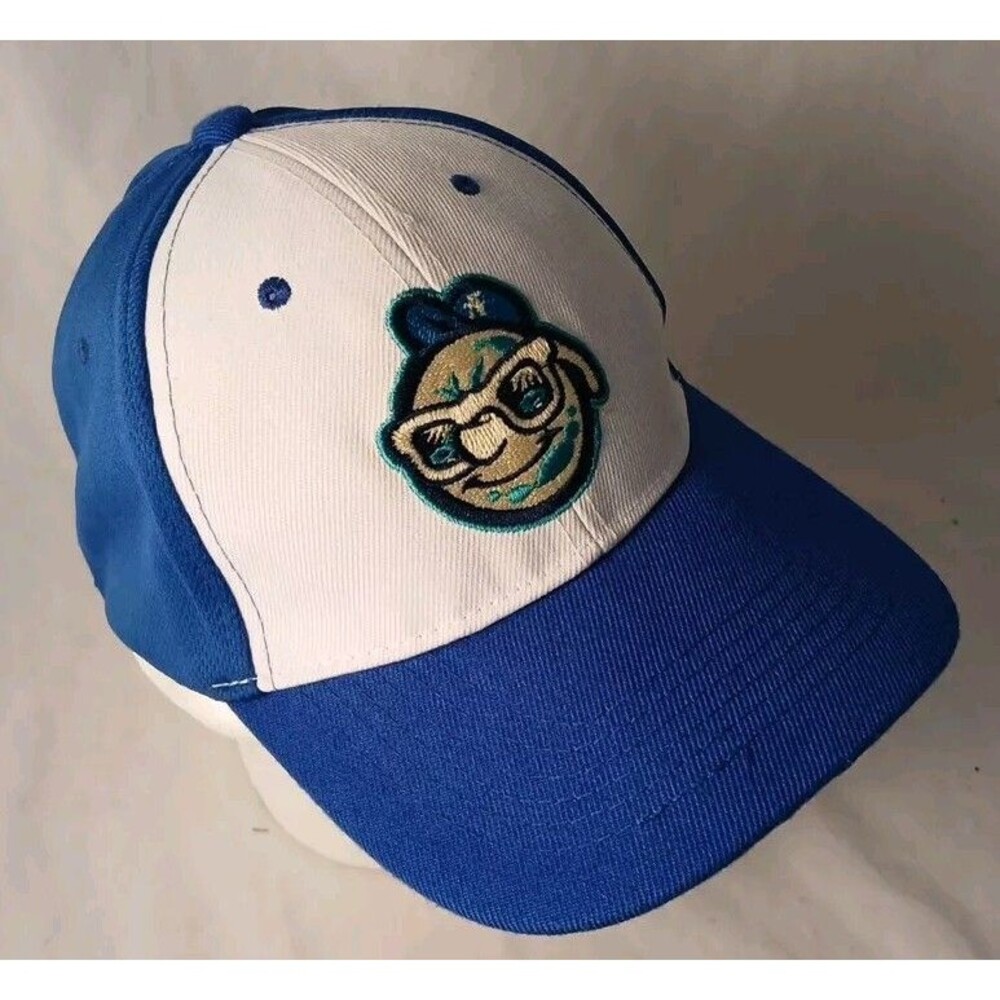 Asheville NC Tourists MiLB Adjustable Strapback Baseball Hat/Cap-EXCELLENT!